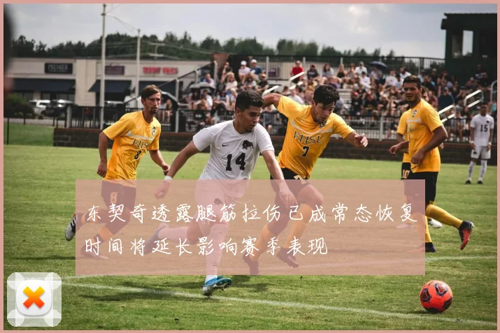 东契奇透露腿筋拉伤已成常态恢复时间将延长影响赛季表现